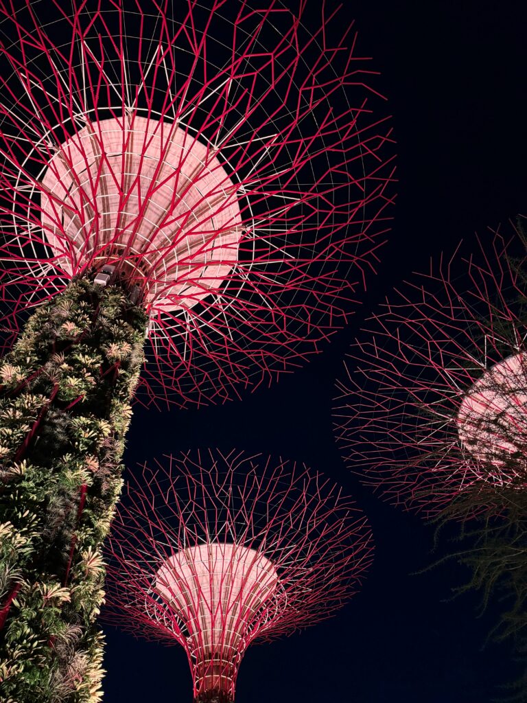 pexels-photo-34216440-34216440.jpg